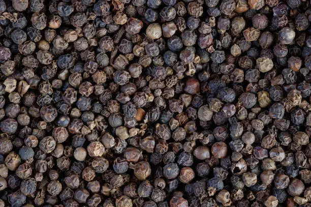 Photo of Black peppercorn