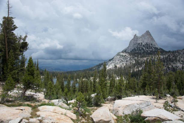istock Cathredal Peak, Yosemite National Park. Stormy Sky. Pine Forest. 800432472