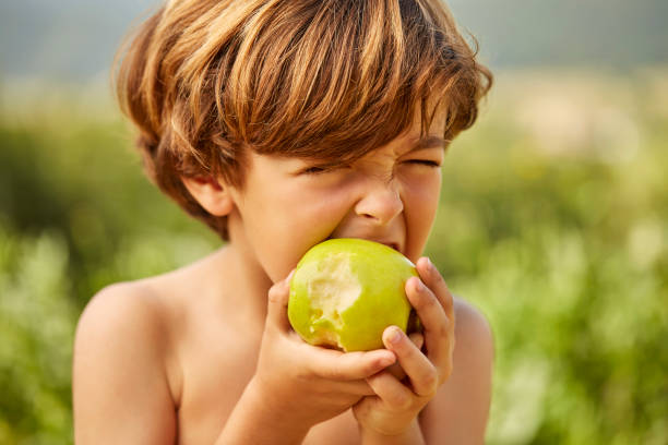 上半身裸の少年がヤードのおばあさんスミスりんごを食べる - child eating apple fruit ストックフォトと画像