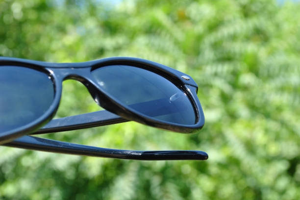 istock Sunglasses on the background of greenery 800433606