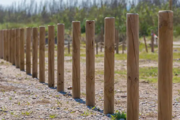 Background of wooden stakes in row.