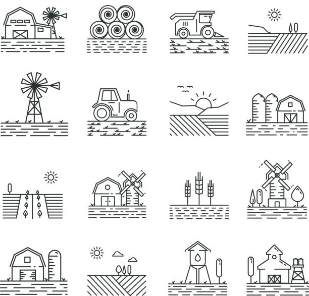 ilustraciones, imágenes clip art, dibujos animados e iconos de stock de iconos de cultivo en un fino estilo lineal - agriculture field tractor landscape