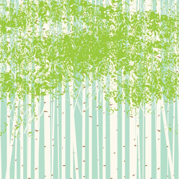 Birch grove vector background against the blue sky Vector seamless texture with the image of the birch trees on blue sky background. Spring birch forest vector background. The picture birch grove. birch bark background stock illustrations