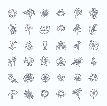 Set of floral icon in flat design. Thin line style