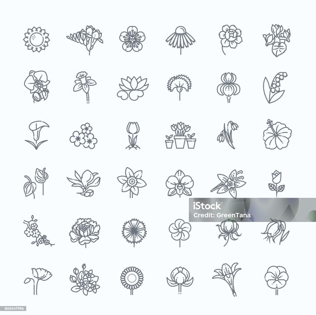 Flower Icon Set - Vector Illustration Set of floral icon in flat design. Thin line style Icon Symbol stock vector