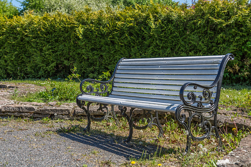 Bench In The Summer City Park