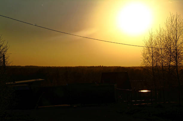 sunset yellow in the spring, Russia , Tula oblast