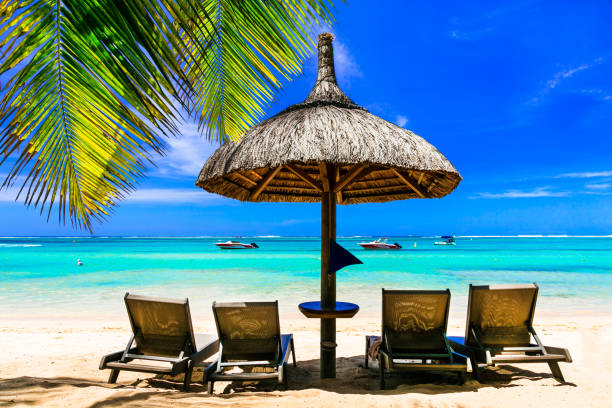 istock relaxing tropical holidays. scenery with beach chairs and umbrella under the palm tree 800458176