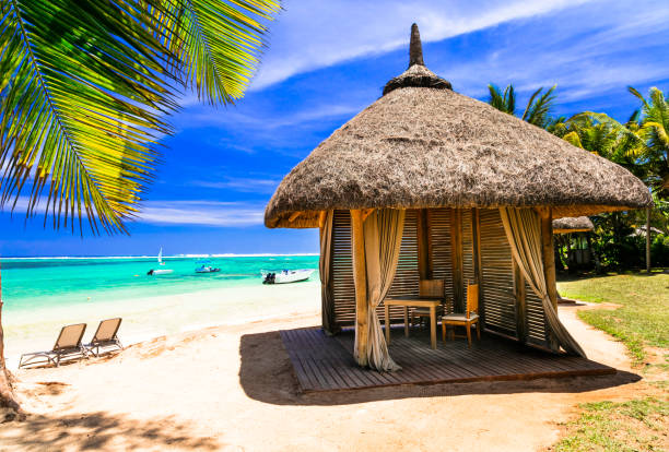 istock Relaxing tropical holidays. scenery with beach bungalow under palm tree 800458188
