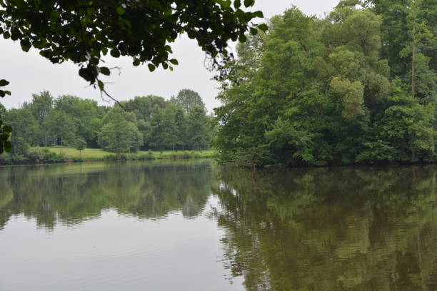 istock Trees and bushes on the lakeshore 800460042