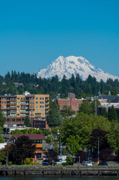 olympia centro de la ciudad y el monte rainier - olympia washington fotografías e imágenes de stock