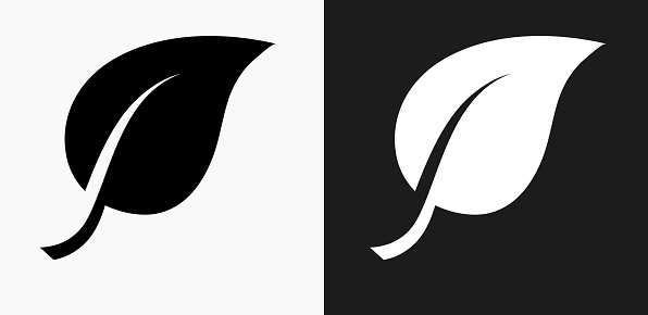 One Leaf Icon on Black and White Vector Backgrounds. This vector illustration includes two variations of the icon one in black on a light background on the left and another version in white on a dark background positioned on the right. The vector icon is simple yet elegant and can be used in a variety of ways including website or mobile application icon. This royalty free image is 100% vector based and all design elements can be scaled to any size.