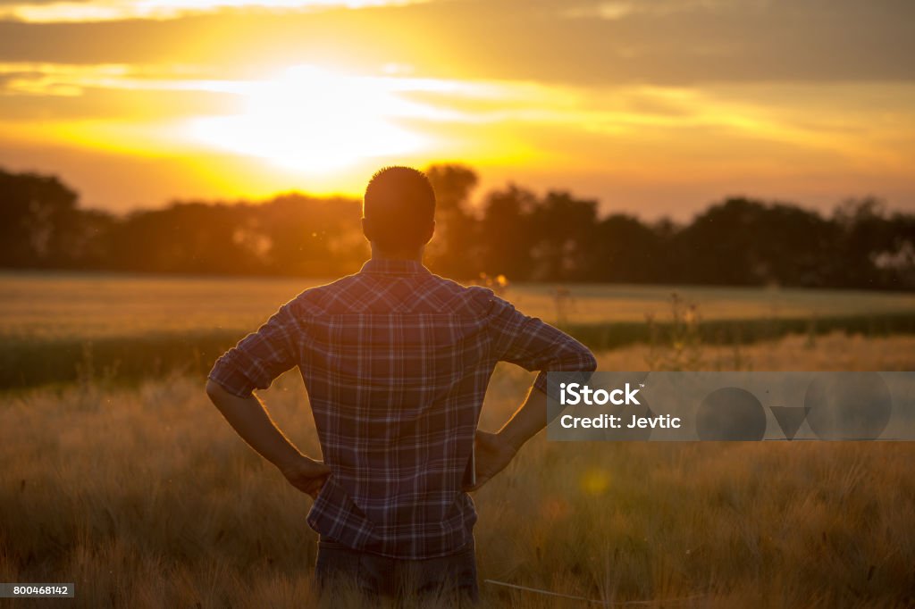 Farmer in Feld - Lizenzfrei Bauernberuf Stock-Foto