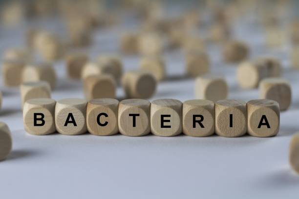 istock bacteria - cube with letters, sign with wooden cubes 800469292