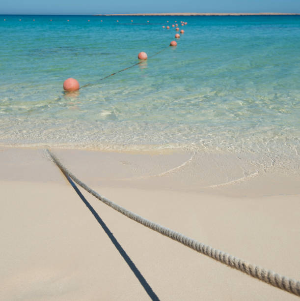 istock Floating buoys on rope in tropical ocean lagoon 800469374