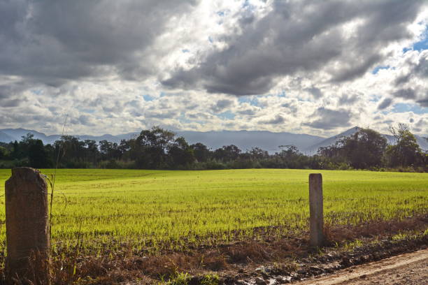 istock Rural landscape of Joinville 800476308
