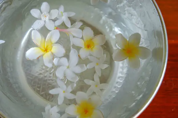 Photo of White flowers float in the bowl, Songkran Day, festival of Thailand