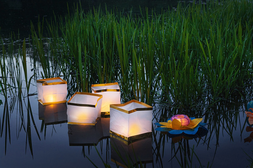 Water burning yellow lanterns on the lake amid tall green grass