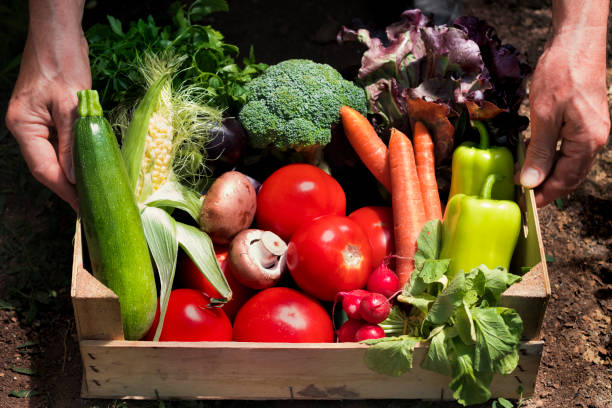 istock Farmer carrying full box of organic vegetable 800489626