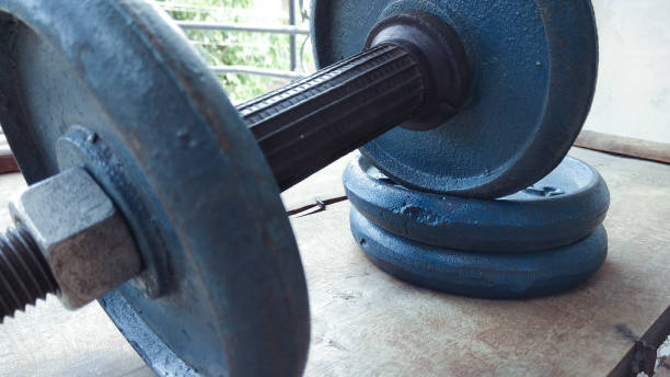 istock closeup gym dabble with plate 800495930