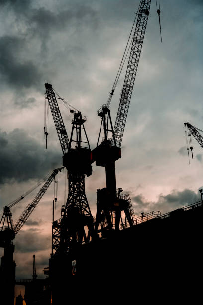 istock Loading Cranes at the Port during Dusk in Hamburg Germany 800501824