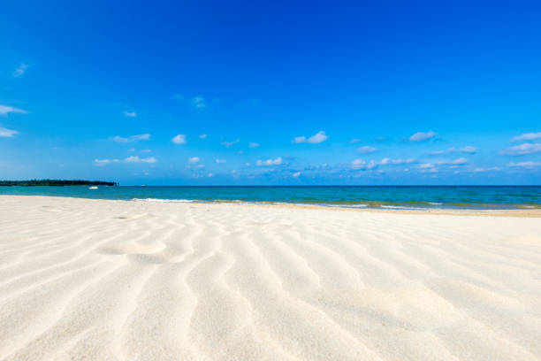 beautiful beach and tropical sea