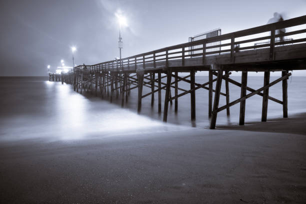 istock Bones of the Boardalk 800516674