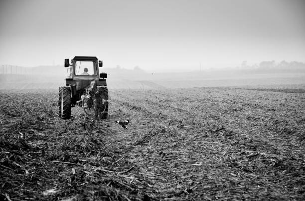 istock Tractor in the field under heavy rain 800548900