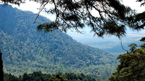 istock View from Cerro Pelon Mountains, Mexico 800727596