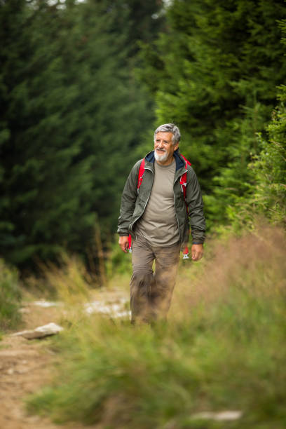 istock Active senior hiking in high mountains 800735944