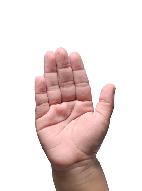 wrinkled child hand Wrinkled child hand on white background aceros cassidix stock pictures, royalty-free photos & images