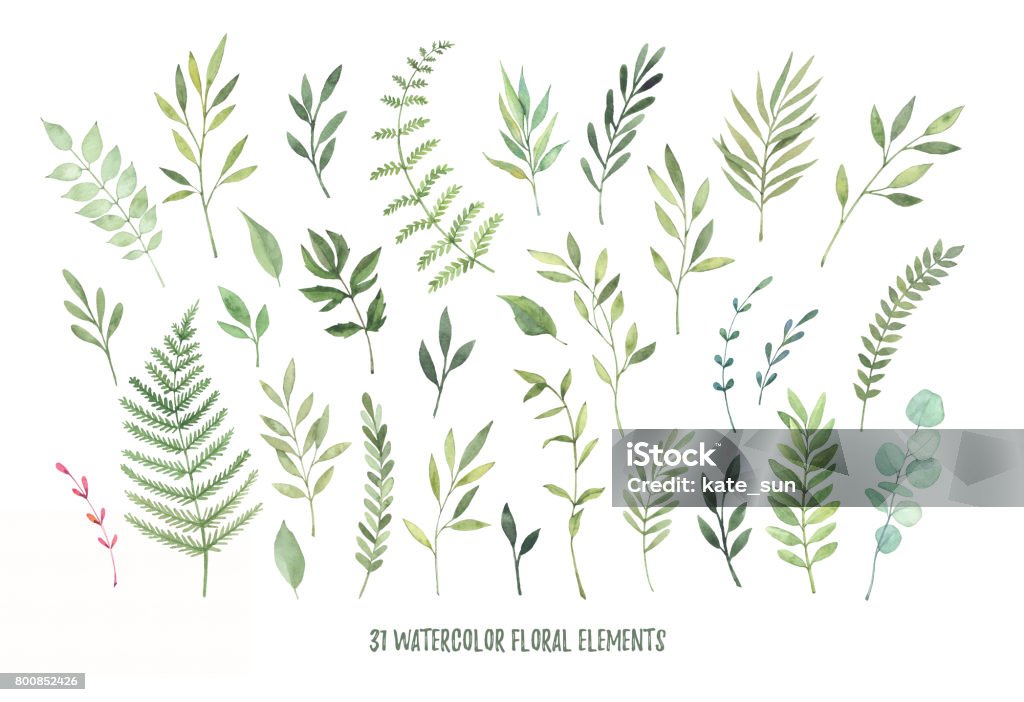 Hand drawn watercolor illustrations. Botanical clipart ( laurels, frames, leaves, flowers, swirls, herbs, branches). Floral Design elements. Perfect for wedding invitations, greeting cards, blogs, posters and more Watercolor Painting stock illustration