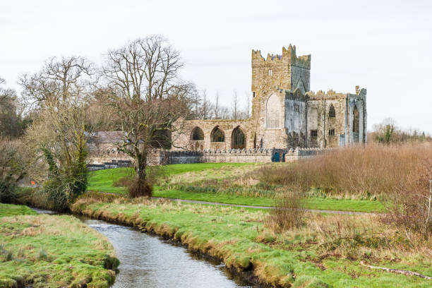 istock Tintern abbey in Ireland 800865956