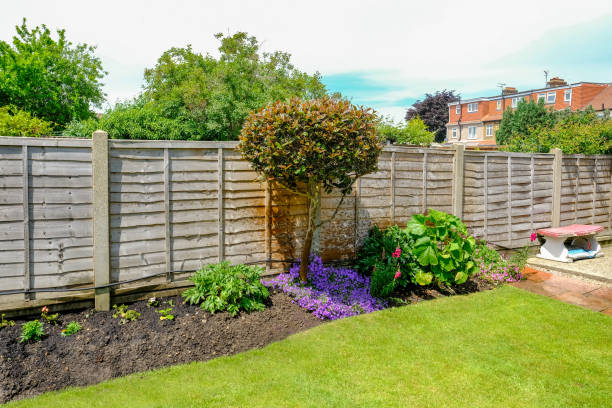 istock Flower bed with camelia, flowers and fence 800869250