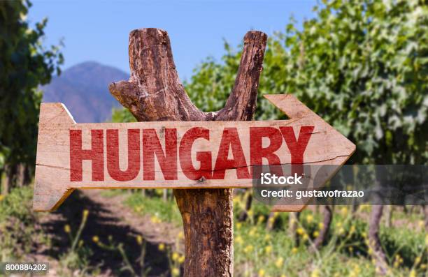 Hungary Direction Sign Stock Photo - Download Image Now - Eger, Hungary, Wine