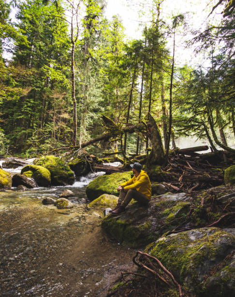istock man hiking in the washington state 800886758