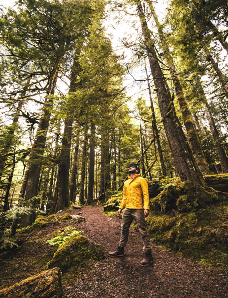 istock man hiking in the washington state 800886952