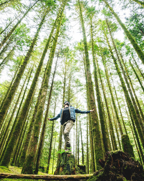 istock man hiking in british columbia 800891224