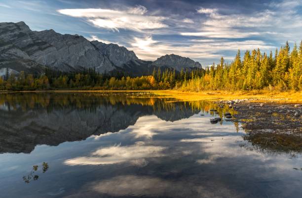 istock Autumn Color Change in Alberta Foothills 800922534