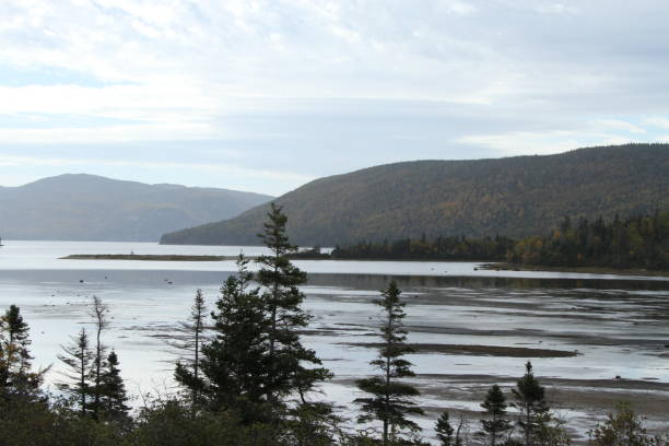 istock Gros Morne national park, Canada 800925550