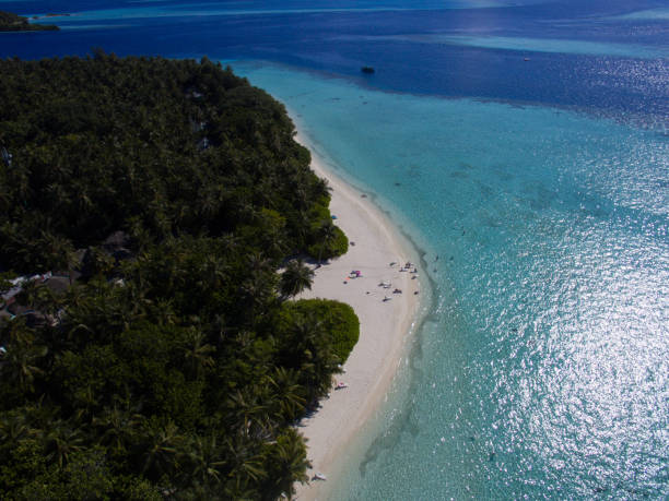 istock Nature on the Maldives 800945160