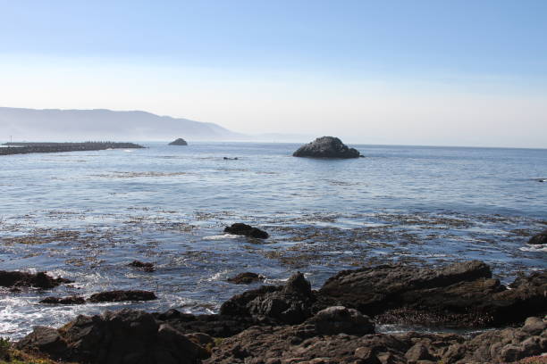 istock Coastline of oregon 800956692