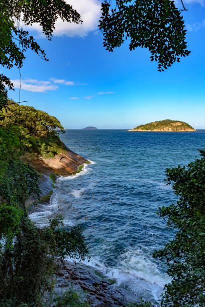 il mare e la foresta - urca rio de janeiro rainforest brazil foto e immagini stock
