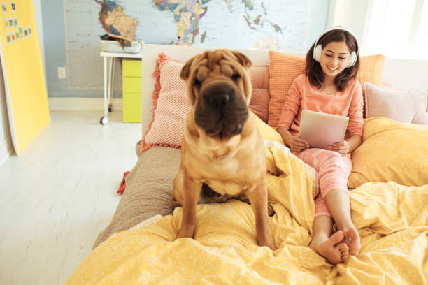 istock Social media and teens 800961818