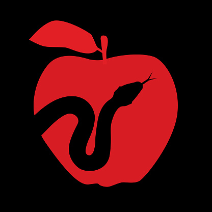 Vector silhouette of a black snake on a red apple.