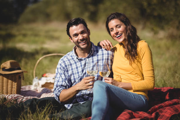 istock Portrait of happy couple holding wineglasses while sitting on picnic blanket 800981722