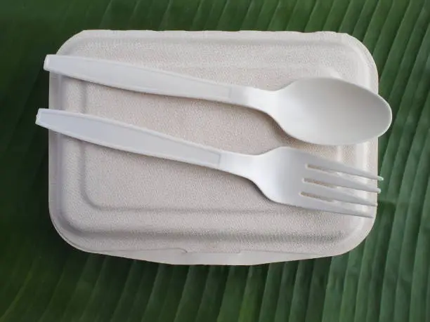 bioplastic spoon fork lunch box on banana leaf