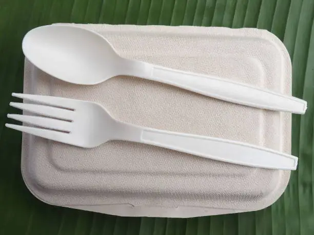 bioplastic spoon fork lunch box on banana leaves