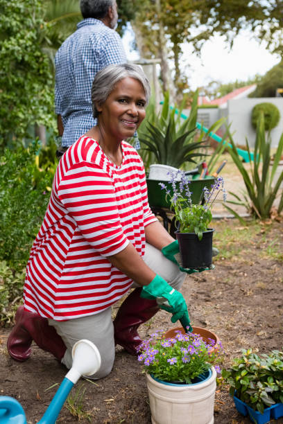 istock Portrait of smiling woman holding plant while kneeling in backyard 800984664