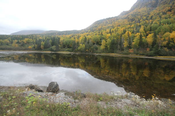 istock Gros Morne national park, Canada 800992718